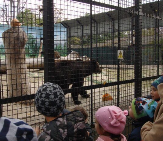 В Одессе медвежий день