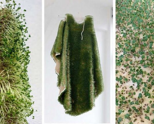 Еко тренди України 2020