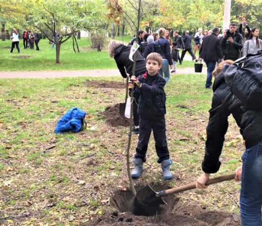 Одесситы вышли на акцию озеленения города