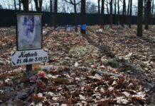 Под Одессой установят специальные печи для кремации животных