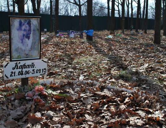 Под Одессой установят специальные печи для кремации животных