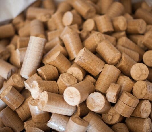 Как одессит разрабатывает топливные брикеты и как они сохраняют природу?