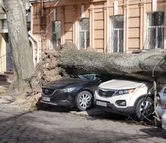 2 марта Одессу накроет новый ураган