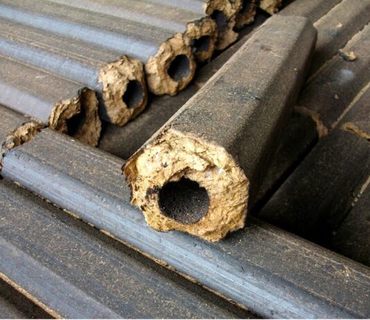 Як одесит розробляє паливні брикети і як вони зберігають природу?