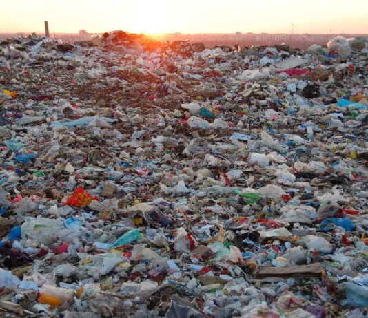 Переделать и заработать: как планируется решать проблему мусора в Одесской области?