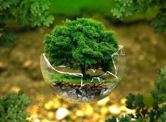 Эко-тренды Украины 2020