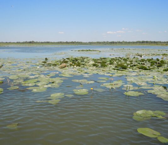 Глибокі і не тільки: топ найкращих озер Одещини