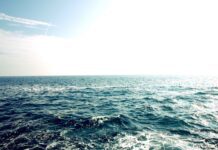Одесса может уйти под воду – заключение ученых