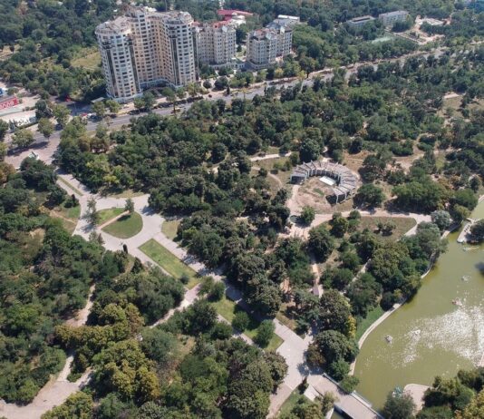 Хто порахує дерева в одеському парку за 906 тисяч гривень?