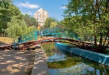 Кто посчитает деревья в одесском парке за 906 тысяч гривен?