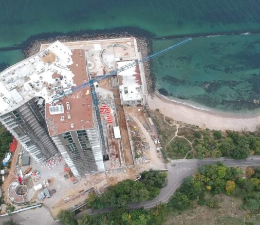 Город засыпает, просыпаются уничтожители склонов. Ночью в Одессе было уничтожено несколько сотен деревьев