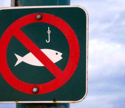 Ловить рыбу строго запрещено!