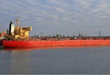 «Хищный» гость акватории Черного моря