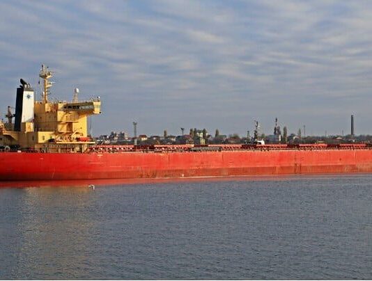 «Хищный» гость акватории Черного моря