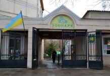 «Лечебные» курсы в Одесском зоопарке