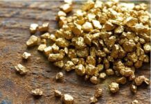 Судьба золотых хранилищ Одесской области или продажа «злачных мест»
