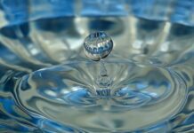 Одесские учёные открыли новый способ очистки воды на уровне микробиологии