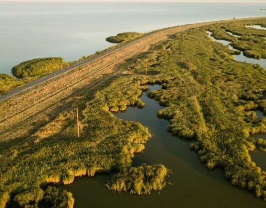 Одесская прокуратура выиграла дело о возврате территории известного национального парка