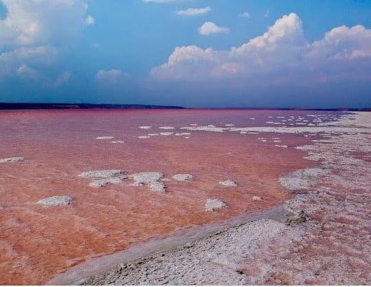 Новый статус: одесский Куяльник станет национальным парком