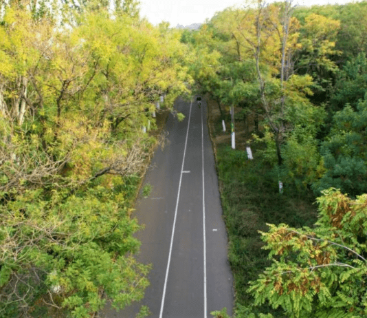 Нездоровая Трасса здоровья: как страдает одна из достопримечательностей Одессы