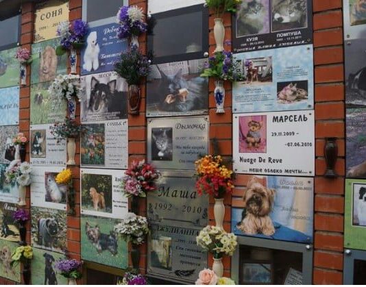 В Одессе появится крематорий для домашних питомцев