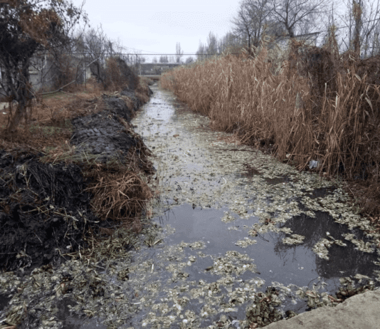 Состояние гидрообъектов Одессы: проблемы и последствия