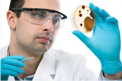 Уникальные бактерии Чёрного моря, способные оказывать защиту растениям, животным и людям