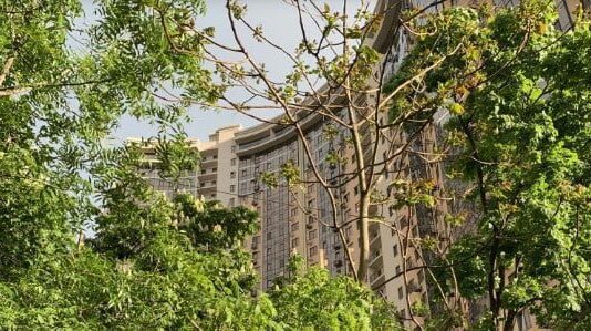 Застройка Гагаринского плато: осталась последняя зелёная зона