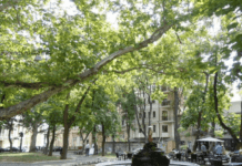 Скверы Одессы: вчера, сегодня, завтра