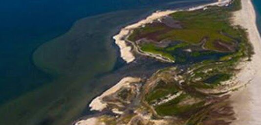 Скандал национального природного парка : по мнению руководства полиция занимается браконьерским крышеванием