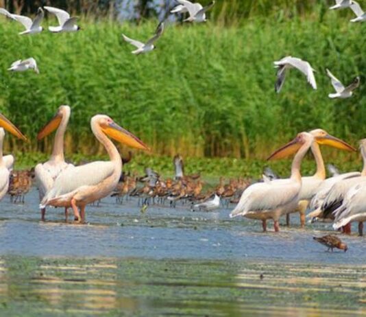 Одесский регион и его острова