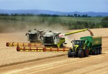 Услуги по уборке урожая зерновых комбайнами: что нужно знать