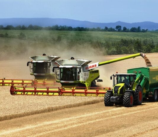 Услуги по уборке урожая зерновых комбайнами: что нужно знать
