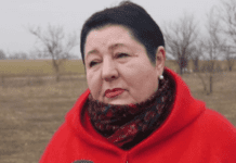 Проблема бездомных животных в Южном