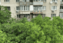 Учет зелёных насаждений Одессы: необходимость и практическое применение