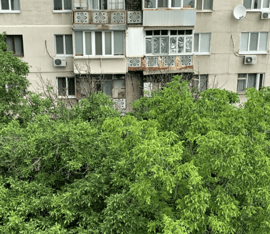 Учет зелёных насаждений Одессы: необходимость и практическое применение