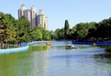 Одесские парки : места, где можно организовать романтическую прогулку парки