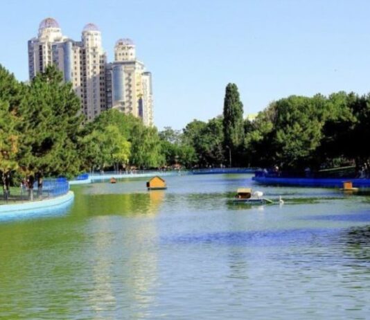 Одесские парки : места, где можно организовать романтическую прогулку парки