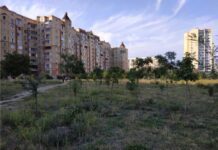 Парк Энтузиастов или Привоз: кто кого? привоз