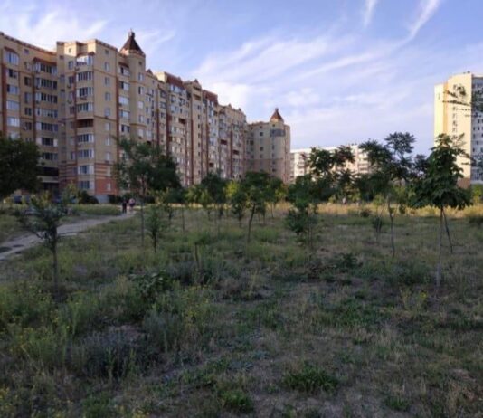 Парк Энтузиастов или Привоз: кто кого? привоз