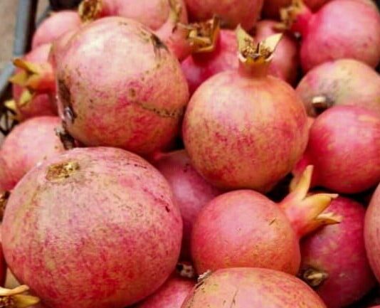 Гранатовый урожай Одесского ботсада