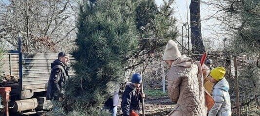 Территорию бывшего «Лермонтовского» теперь украшают гибискусы и сосны : что не нравилось активистам