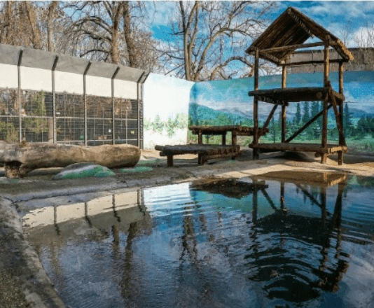 Игровая площадка для одесских медведей