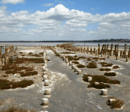 Спасти Куяльник : одесским зодчим была предложена альтернатива планов касательно Объездной