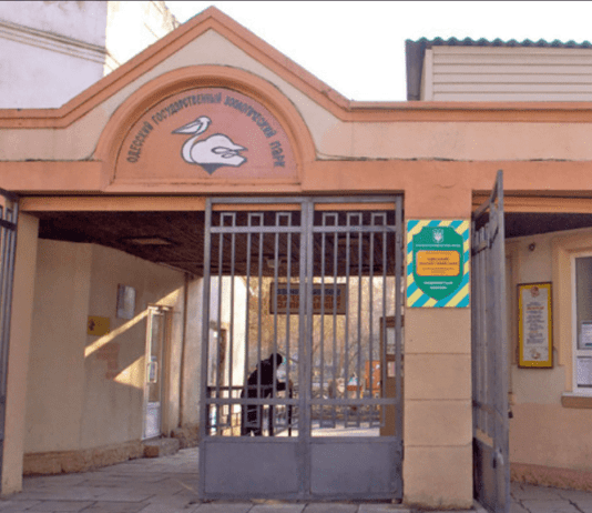 Военная жизнь Одесского зоопарка