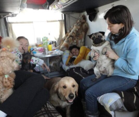 Об одесской «поездной» эвакуации и пересечении границы с домашним животным