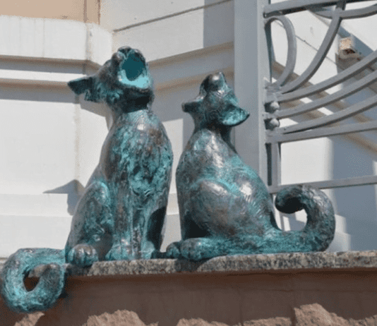 Котики: секретное оружие и тренд французской прессы