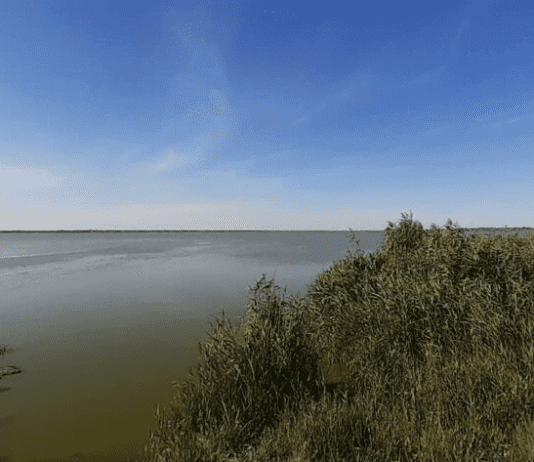 Водное достояние одесского региона. Озеро Китай