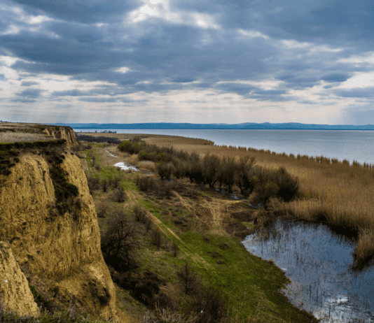 Советы, которые помогут сохранить чистоту родного города