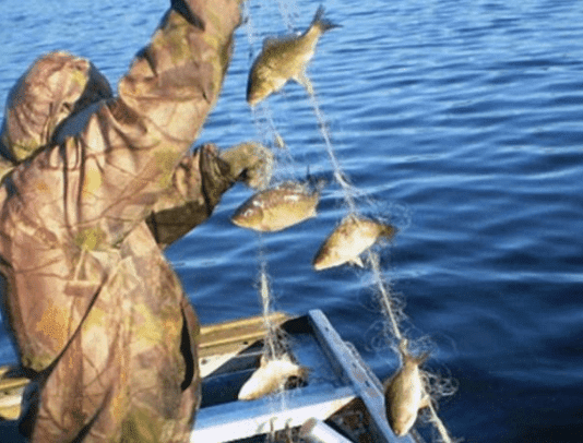 Как живет рыбное хозяйство Одесщины весной 2022 года